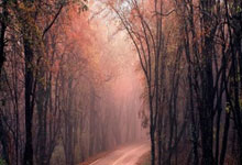 九游娱乐官网:时隔250天再破门!谢鹏飞中超终于爆发:国足6月重要补充!.