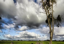 九游娱乐官网:CBA:上海队客场103-99深圳队 豪取六连胜.