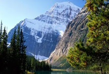 九游娱乐官网:艳福不浅!东契奇被灰熊球员推出边线,摔进美女助教怀中一脸享受.