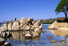 [NBA]一突四 亚历山大强突干拔拿下两分.